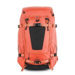 SHINN - Nasturtium.jpg