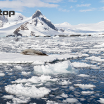 Pano_Antarctica-0394-copy_02.png