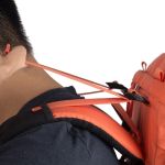 adjustable harness.jpg