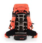 Tilopa Nasturtium with ICU.jpg