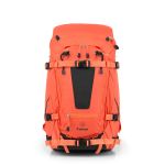 TILOPA - Nasturtium.jpg