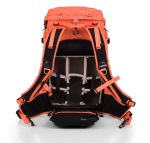 Lotus Nasturtium back open.jpg