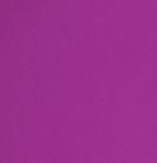 fuscia-swatch.jpg