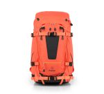 Tilopa Nasturtium Front.jpg