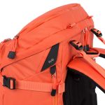 Tilopa Nasturtium H20.jpg